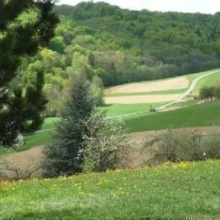 Gemuetliches In Trautmannsdorf In Oststeiermark Mit Garten, Terrasse Und Grill באד גלייכנברג