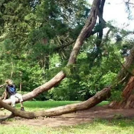 Prázdninový dům Gemuetliches In Trautmannsdorf In Oststeiermark Mit Garten, Terrasse Und Grill