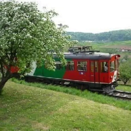 Gemuetliches In Trautmannsdorf In Oststeiermark Mit Garten, Terrasse Und Grill *